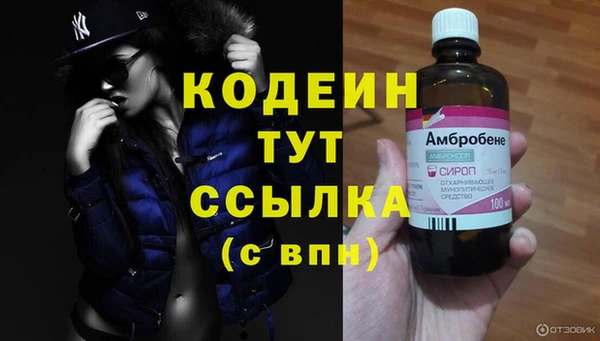 крисы Медвежьегорск