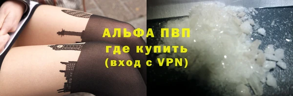 крисы Медвежьегорск