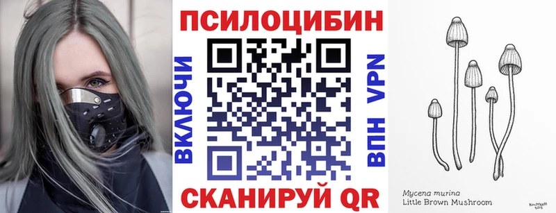 shop состав  Серпухов  Псилоцибиновые грибы Magic Shrooms 